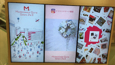 マロニエゲート様